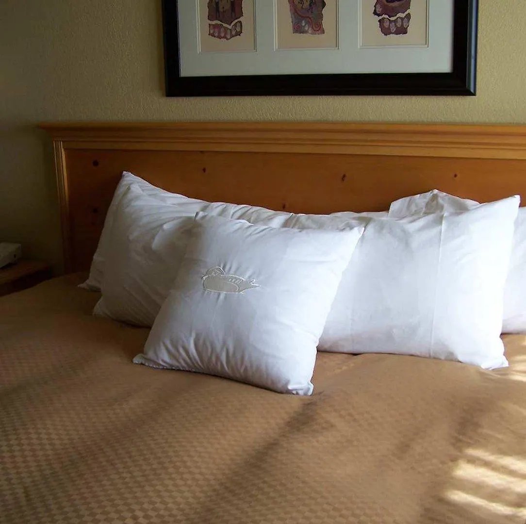 *** Hotel Homewood Suites By Hilton Phoenix-Biltmore United States