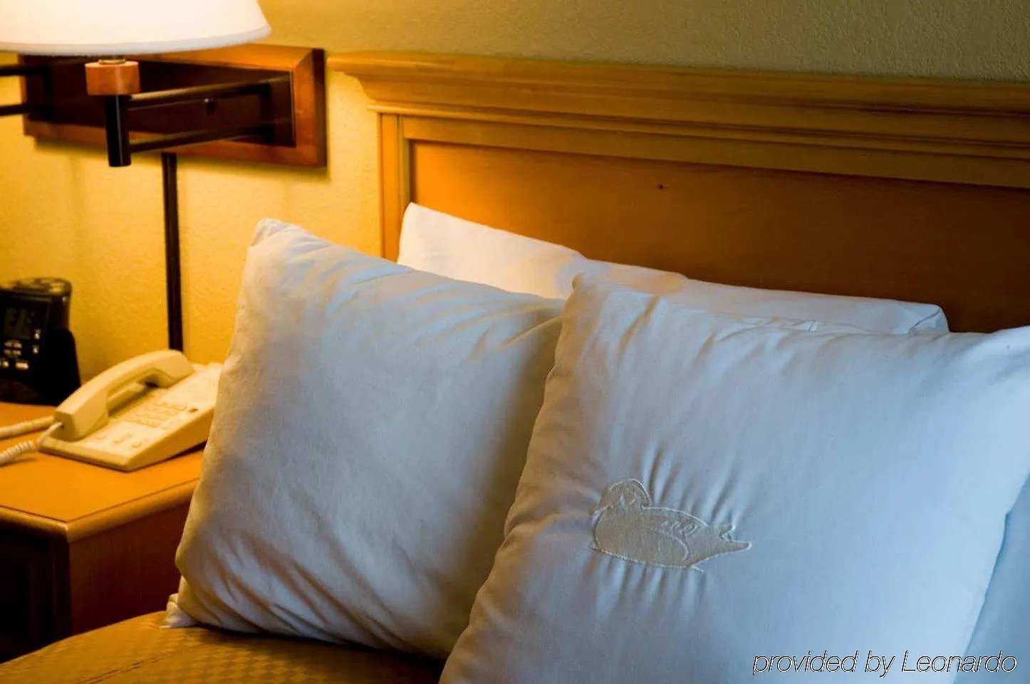 Homewood Suites By Hilton Phoenix-Biltmore 3*, Phoenix United States